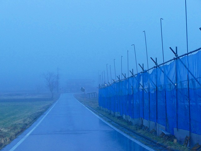 f:id:congiro:20190403003154j:plain