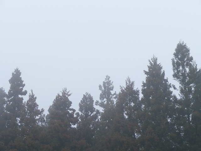 f:id:congiro:20190403003209j:plain