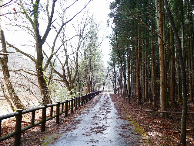 f:id:congiro:20190403003232j:plain