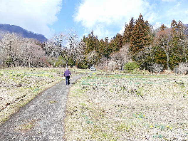 f:id:congiro:20190403003304j:plain