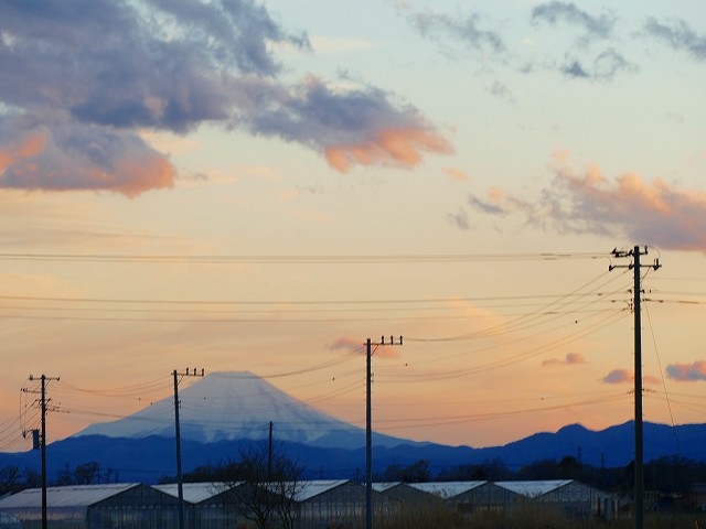 f:id:congiro:20190403003349j:plain