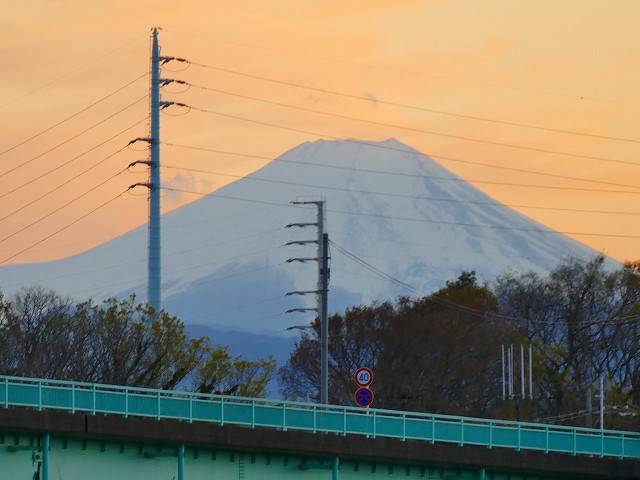 f:id:congiro:20190403003350j:plain