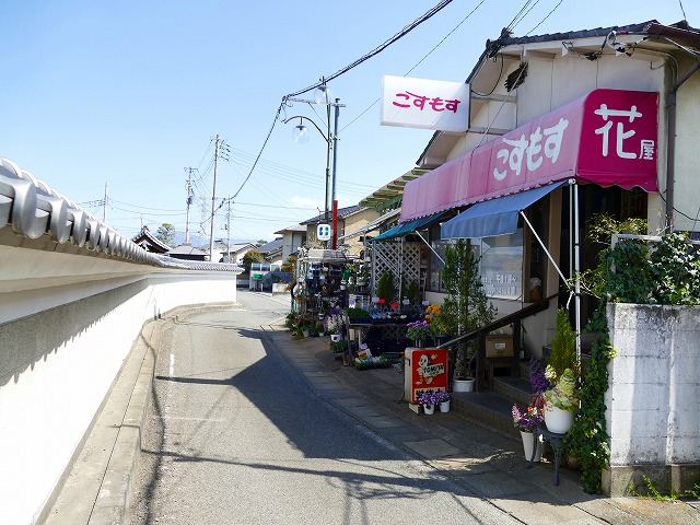 f:id:congiro:20190409012451j:plain