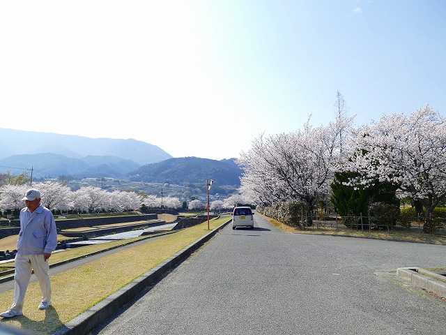 f:id:congiro:20190409012505j:plain
