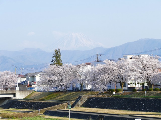 f:id:congiro:20190409012657j:plain