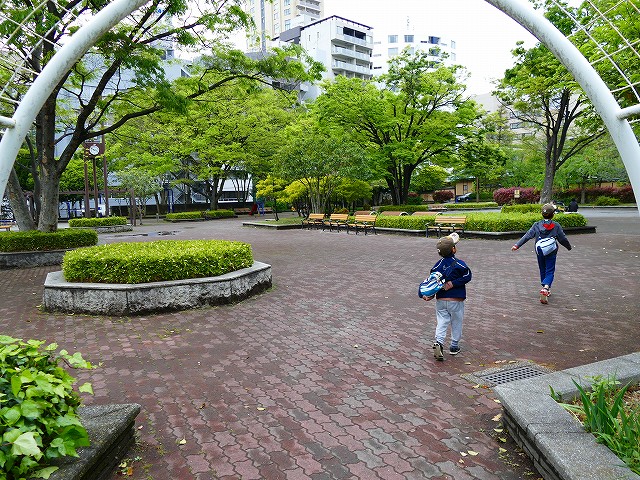 f:id:congiro:20190428110546j:plain