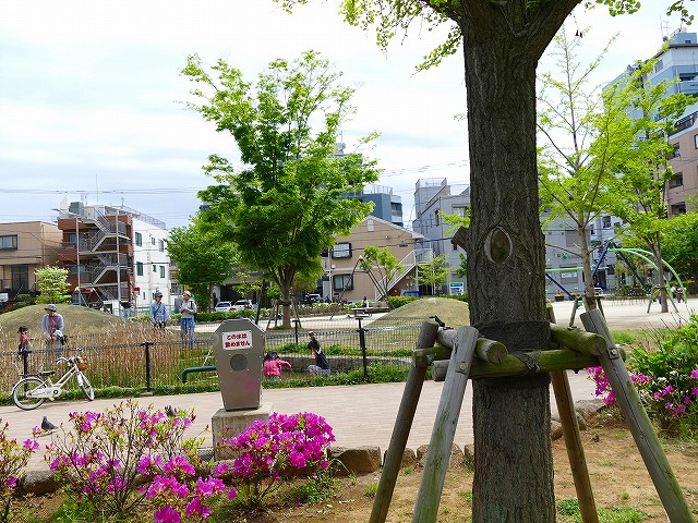 f:id:congiro:20190501101606j:plain