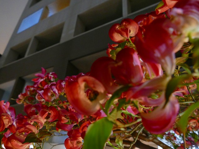 f:id:congiro:20190501101655j:plain