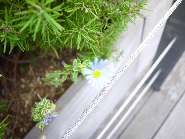 f:id:congiro:20190501101711j:plain