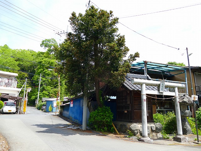 f:id:congiro:20190506235413j:plain