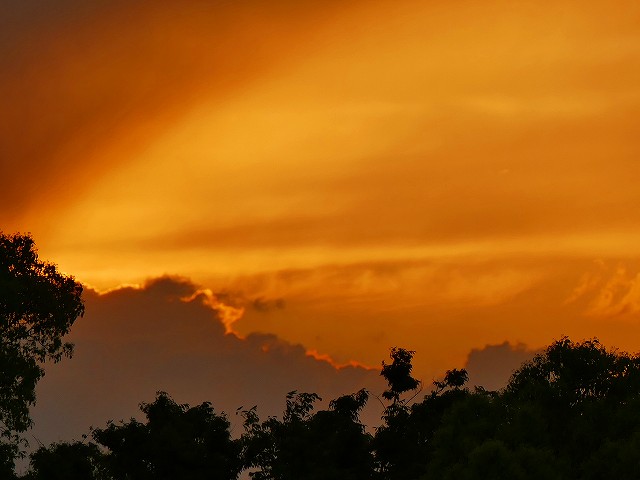 f:id:congiro:20190506235527j:plain