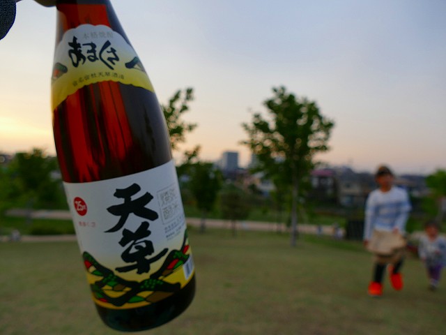f:id:congiro:20190506235529j:plain