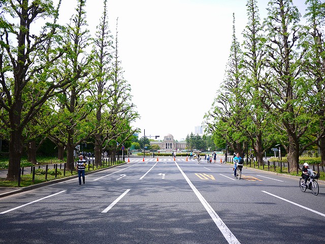 f:id:congiro:20190507011720j:plain f:id:congiro:20190507011720j:plain