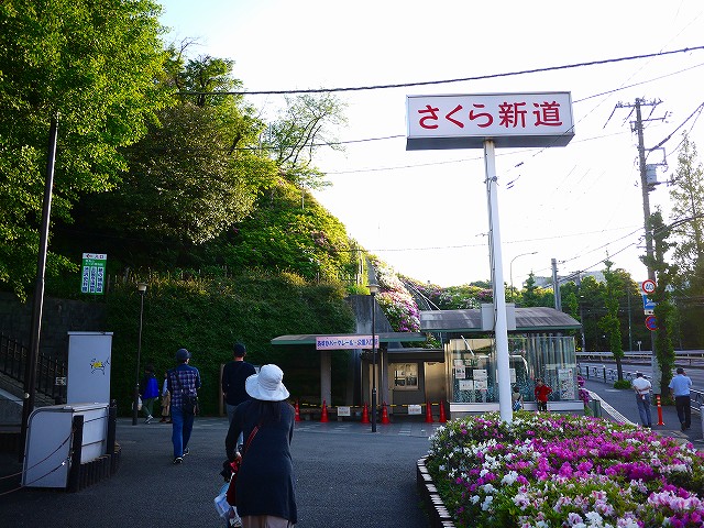f:id:congiro:20190507011737j:plain f:id:congiro:20190507011737j:plain