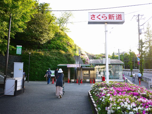 f:id:congiro:20190507011738j:plain f:id:congiro:20190507011738j:plain