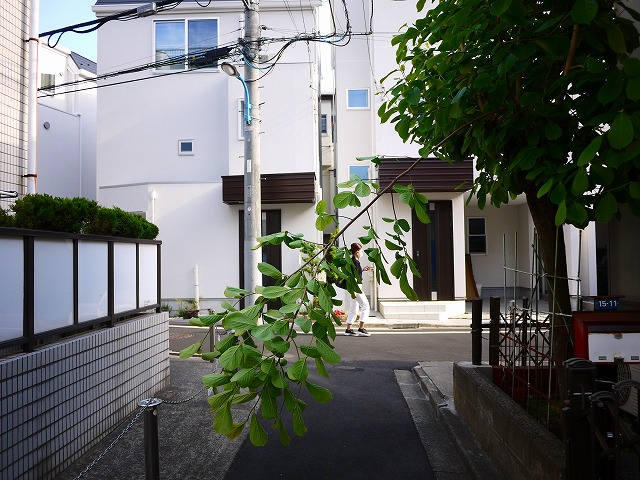 f:id:congiro:20190512003103j:plain f:id:congiro:20190512003103j:plain
