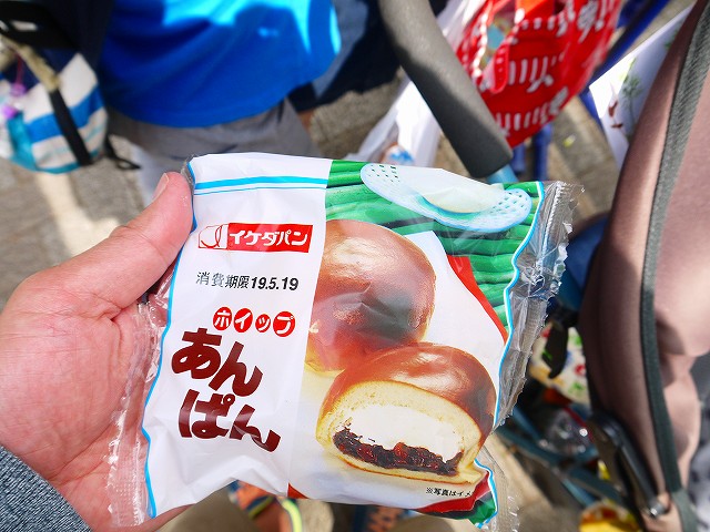 f:id:congiro:20190519231939j:plain