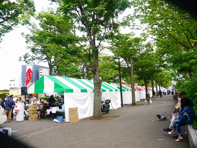 f:id:congiro:20190519231958j:plain