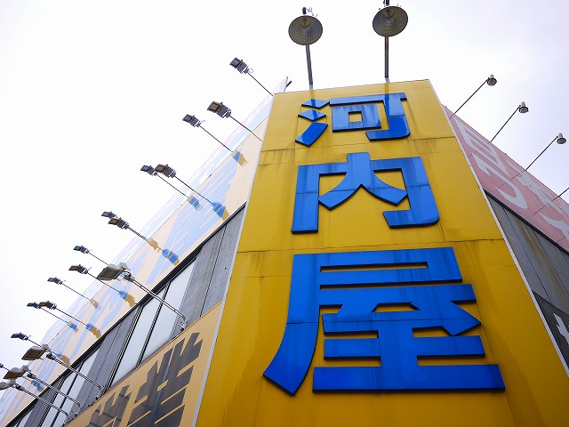 f:id:congiro:20190609124916j:plain