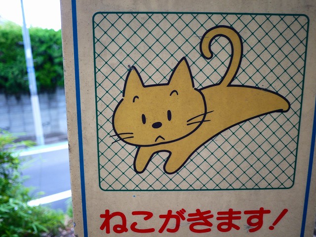 f:id:congiro:20190609210236j:plain f:id:congiro:20190609210236j:plain