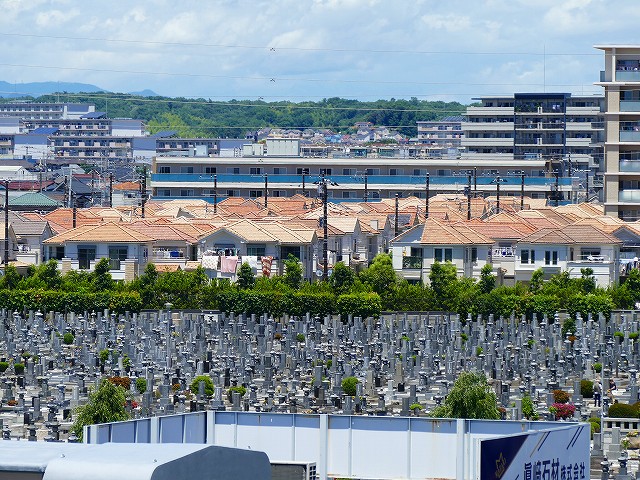 f:id:congiro:20190617013057j:plain f:id:congiro:20190617013057j:plain