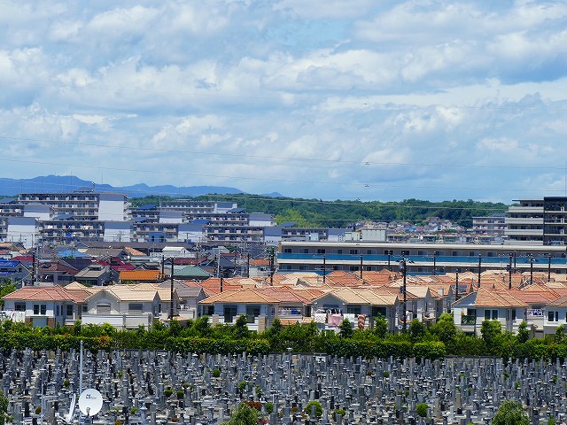 f:id:congiro:20190617013058j:plain f:id:congiro:20190617013058j:plain