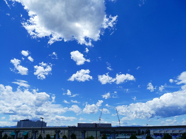 f:id:congiro:20190617013105j:plain f:id:congiro:20190617013105j:plain
