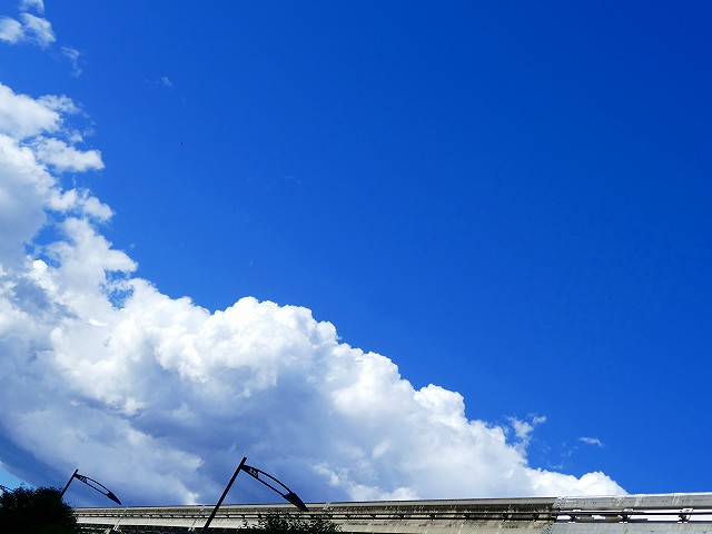 f:id:congiro:20190617013129j:plain f:id:congiro:20190617013129j:plain