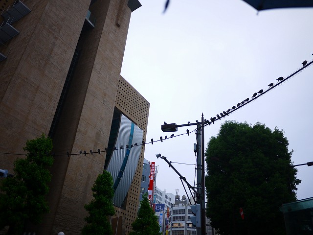 f:id:congiro:20190619012259j:plain