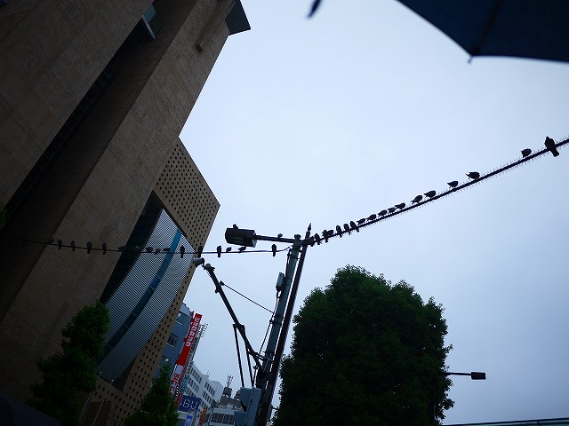 f:id:congiro:20190619012304j:plain