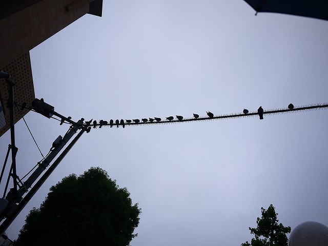 f:id:congiro:20190619012309j:plain