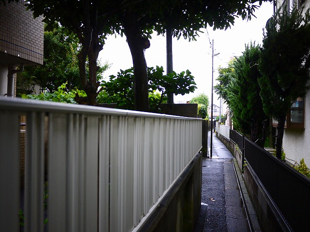 f:id:congiro:20190619012346j:plain