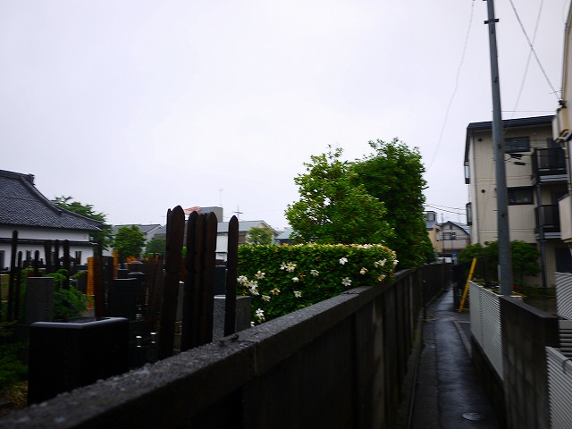 f:id:congiro:20190619012354j:plain