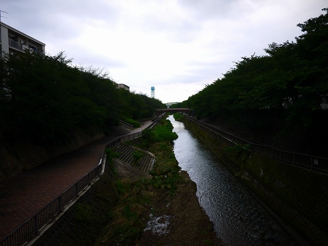 f:id:congiro:20190623232015j:plain