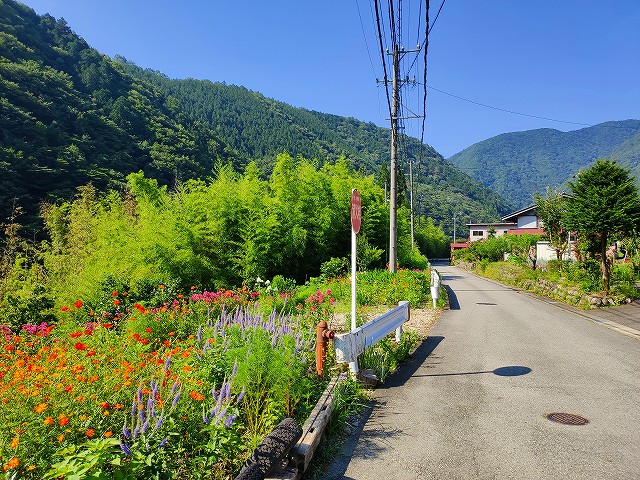 f:id:congiro:20190807011949j:plain f:id:congiro:20190807011949j:plain