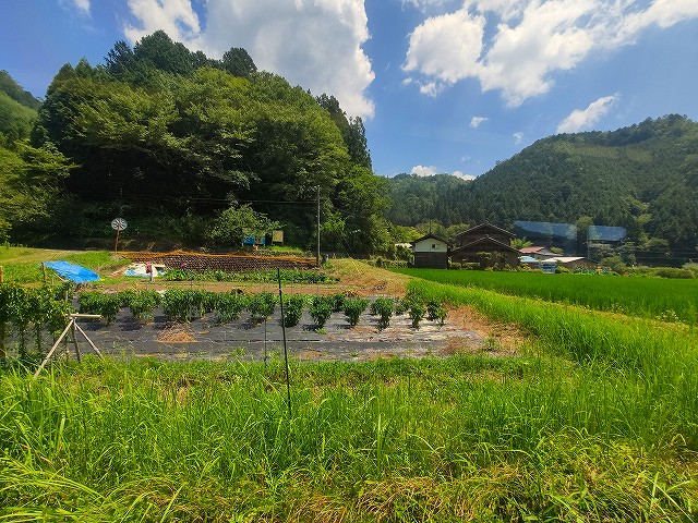 f:id:congiro:20190807012609j:plain f:id:congiro:20190807012609j:plain