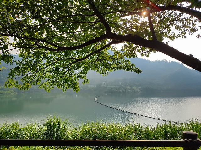 f:id:congiro:20190807230803j:plain f:id:congiro:20190807230803j:plain