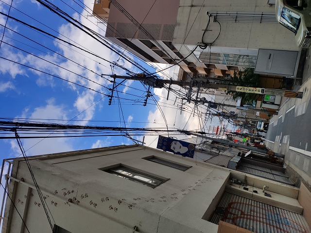 f:id:congiro:20190816222503j:plain