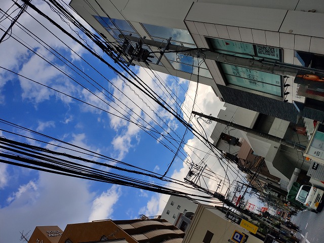 f:id:congiro:20190816222522j:plain