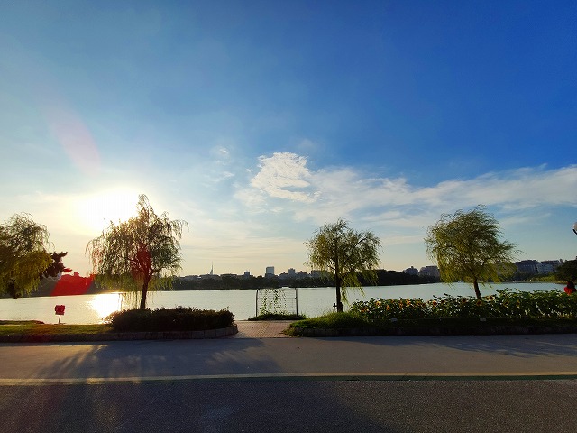 f:id:congiro:20190816222935j:plain