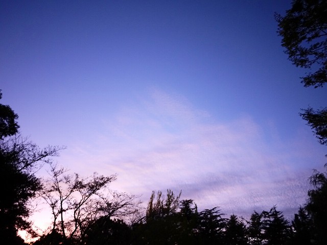 f:id:congiro:20191014022403j:plain