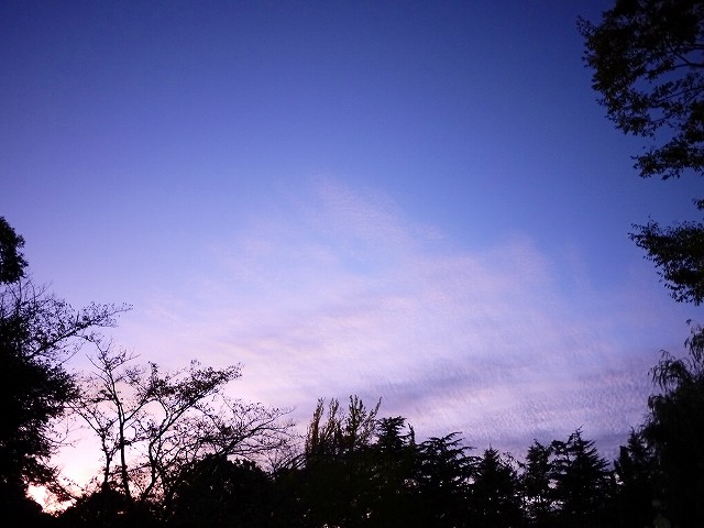 f:id:congiro:20191014022406j:plain