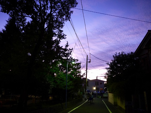 f:id:congiro:20191014022410j:plain