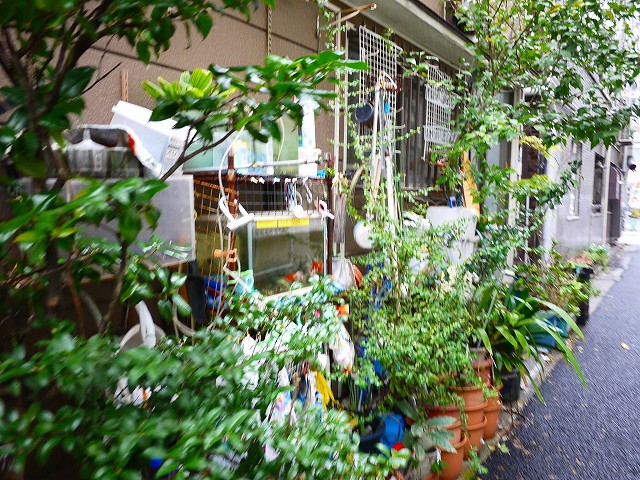 f:id:congiro:20191014230652j:plain