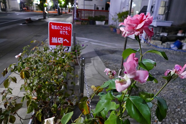 f:id:congiro:20191014234230j:plain