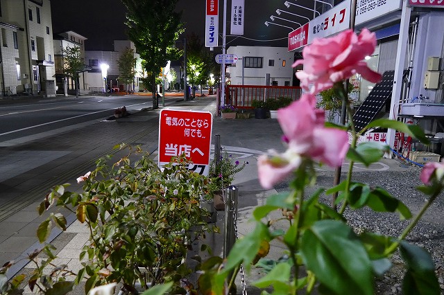 f:id:congiro:20191014234235j:plain
