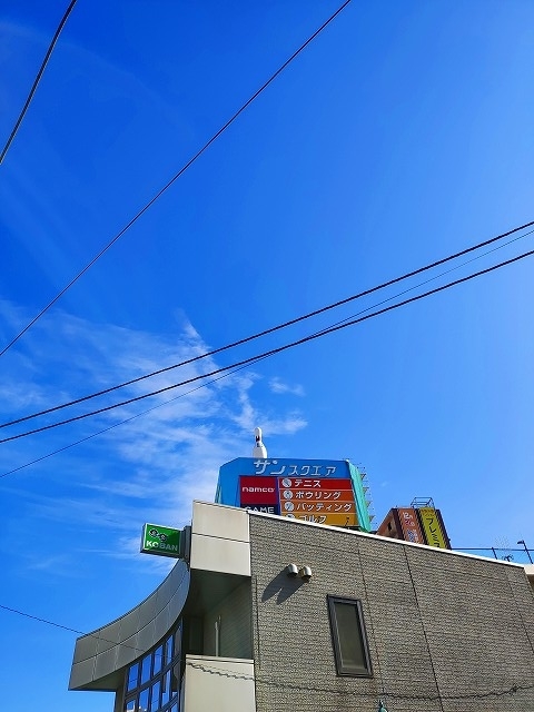 f:id:congiro:20191101201322j:plain f:id:congiro:20191101201322j:plain