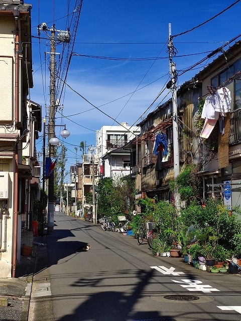 f:id:congiro:20191101201638j:plain f:id:congiro:20191101201638j:plain