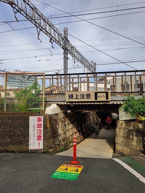 f:id:congiro:20191101201858j:plain f:id:congiro:20191101201858j:plain
