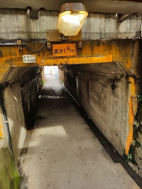 f:id:congiro:20191101201918j:plain f:id:congiro:20191101201918j:plain